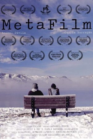 MetaFilm (2017) poster