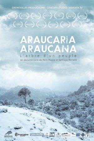 Araucaria Araucana (2018) poster