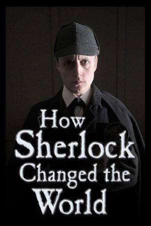 How Sherlock Changed the World (2017) poster