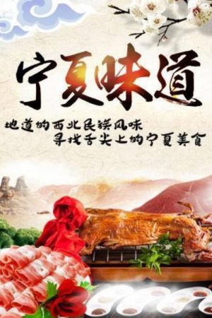 宁夏味道 (2016) poster