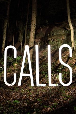 Calls (2017) poster