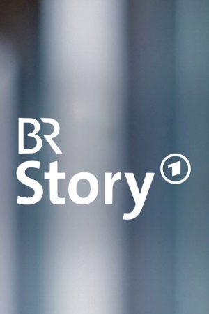BR Story (2016) poster
