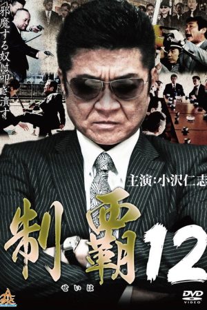 Conquest 12 (2017) poster
