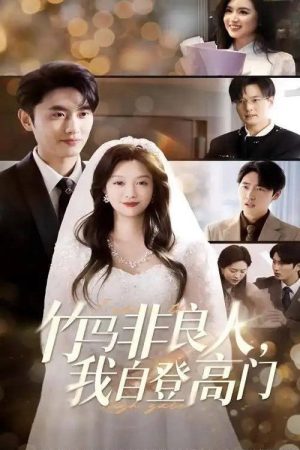 竹马非良人，我自登高门 (2025) poster