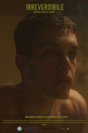 Irreversible (2020) poster