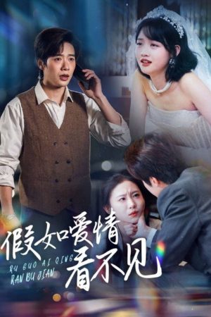 假如爱情看不见 (2025) poster