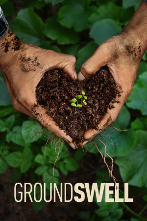 Groundswell (2026) poster
