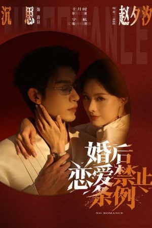 婚后恋爱禁止条例 (2026) poster