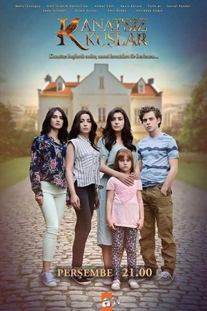 Kanatsız Kuşlar (2017) poster