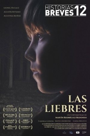 The Hares (2016) poster