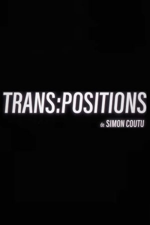 Trans: positions (2026) poster