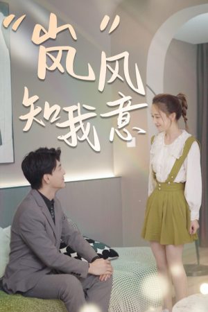 “岚”风知我意 (2023) poster