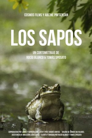 Los sapos (2019) poster