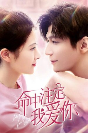 命中注定我爱你 (2021) poster