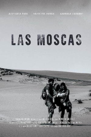 The Flies (2017) poster