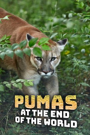 Pumas At The End of The World (2020) poster
