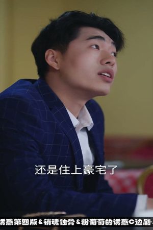 温柔的诱惑 (2025) poster