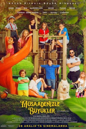 Müsaadenizle Büyükler (2018) poster