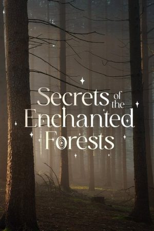 Secrets of the Enchanted Forests (2023) poster