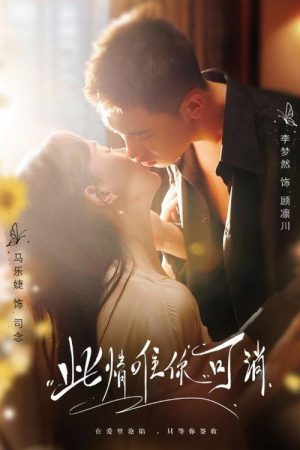 此情唯你可消 (2025) poster