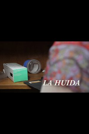 La huida (2017) poster
