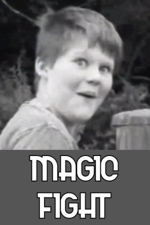 Magic Fight (2017) poster