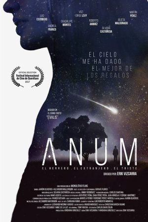 Anum (2017) poster