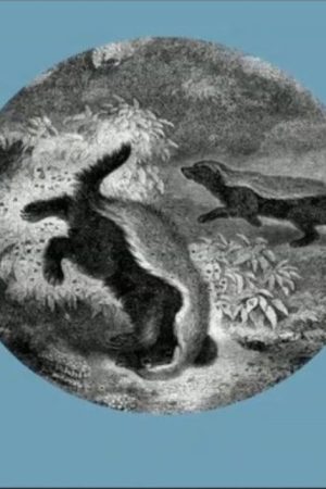 The Kiss of the Honey Badger (2019) poster