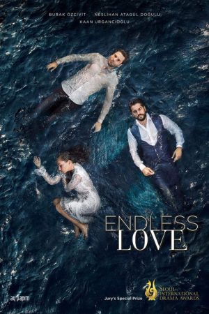 Endless Love (2015) poster
