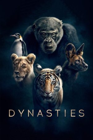 Dynasties (2018) poster