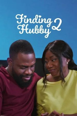 Finding Hubby 2 (2022) poster