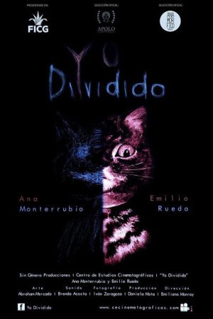Yo Dividido (2016) poster