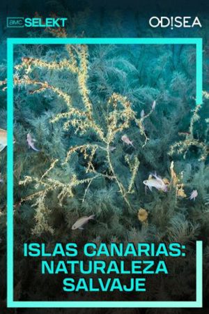 Islas Canarias: naturaleza salvaje (2023) poster