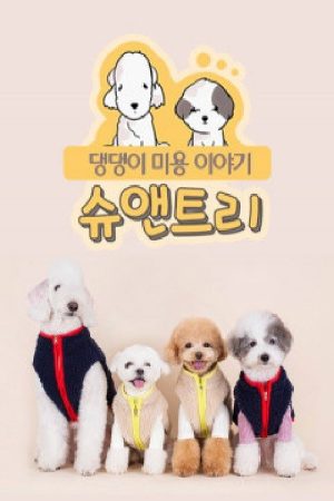 슈앤트리 (2019) poster
