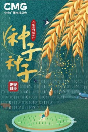 种子 种子 (2022) poster