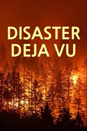 Disaster Deja vu (2021) poster