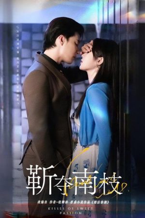 靳夺南枝 (2025) poster
