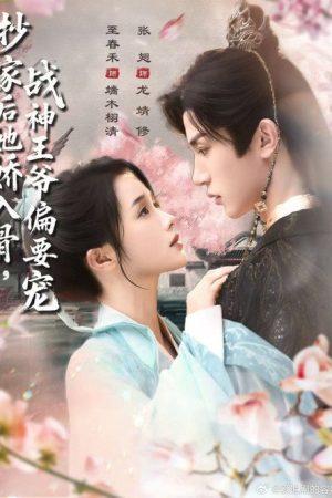 抄家后她娇入骨，战神王爷偏要宠 (2025) poster