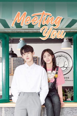 Meeting You (2020) poster
