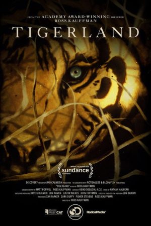Tigerland (2019) poster