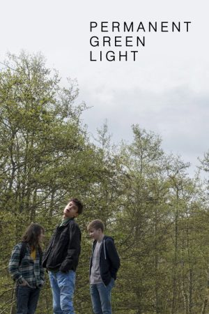 Permanent Green Light (2019) poster