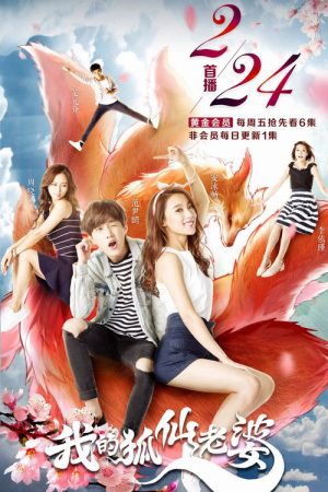 我的狐仙老婆 (2017) poster