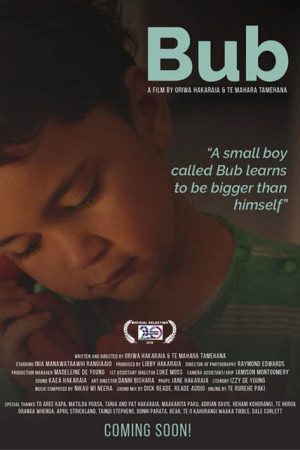 Bub (2019) poster