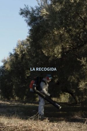 Olive Harvest (2021) poster