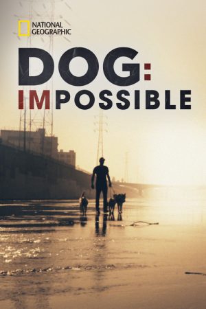 Dog: Impossible (2019) poster