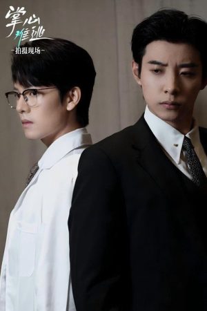 掌心难逃 (2025) poster