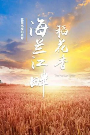 海兰江畔稻花香 (2019) poster