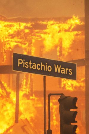 Pistachio Wars (2024) poster