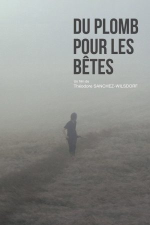 Du plomb pour les bêtes (2017) poster