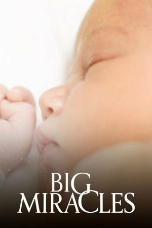 Big Miracles (2023) poster